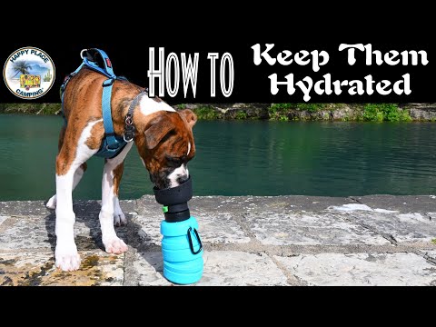Portable Dog Water Bottle | Leak-Proof Travel Bottle